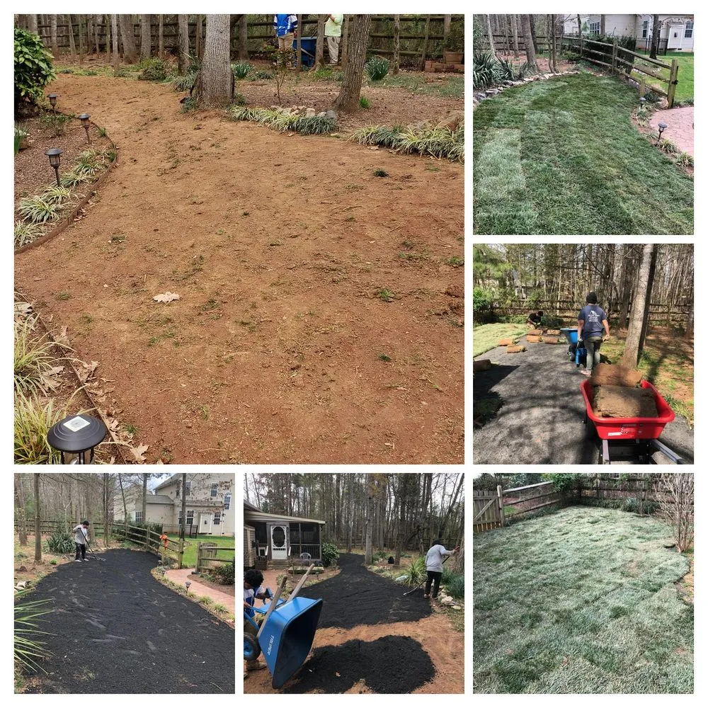 Custom lawn care service for homes across Charlotte, NC - Carolina-Metro Landscape