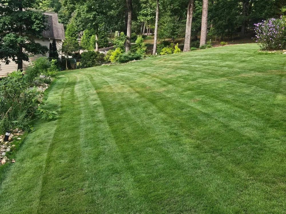 Expert yard maintenance for beautiful yards in Mountain Rest, SC by Carolina Outdoor Systems