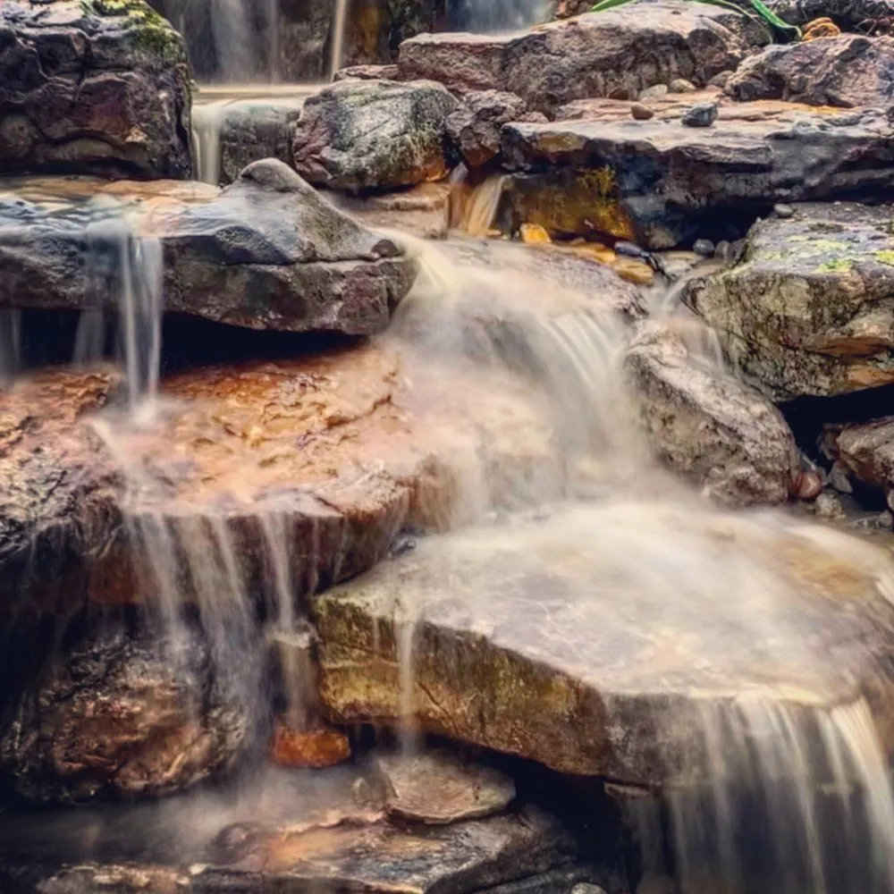 Affordable landscape design for residential properties across Thomasville, NC - Carolina Pondscapes