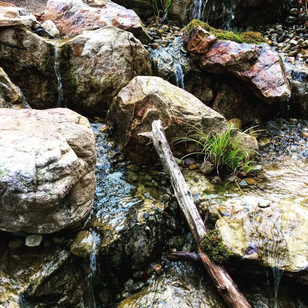 Trusted lawn care service for outdoor upgrades across Thomasville, NC - Carolina Pondscapes