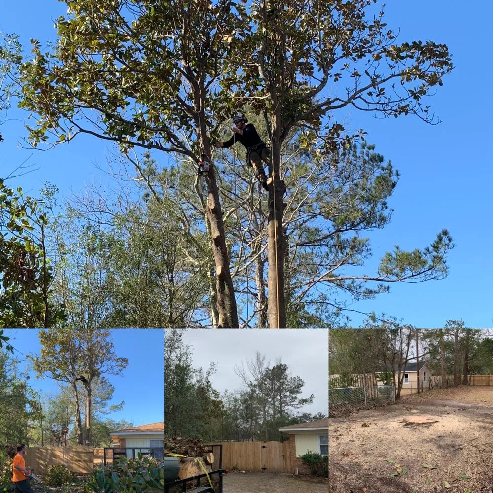 Local yard cleanup service for residential properties across Wilmington, NC - Carolina Pressure Washing & Outdoor Services
