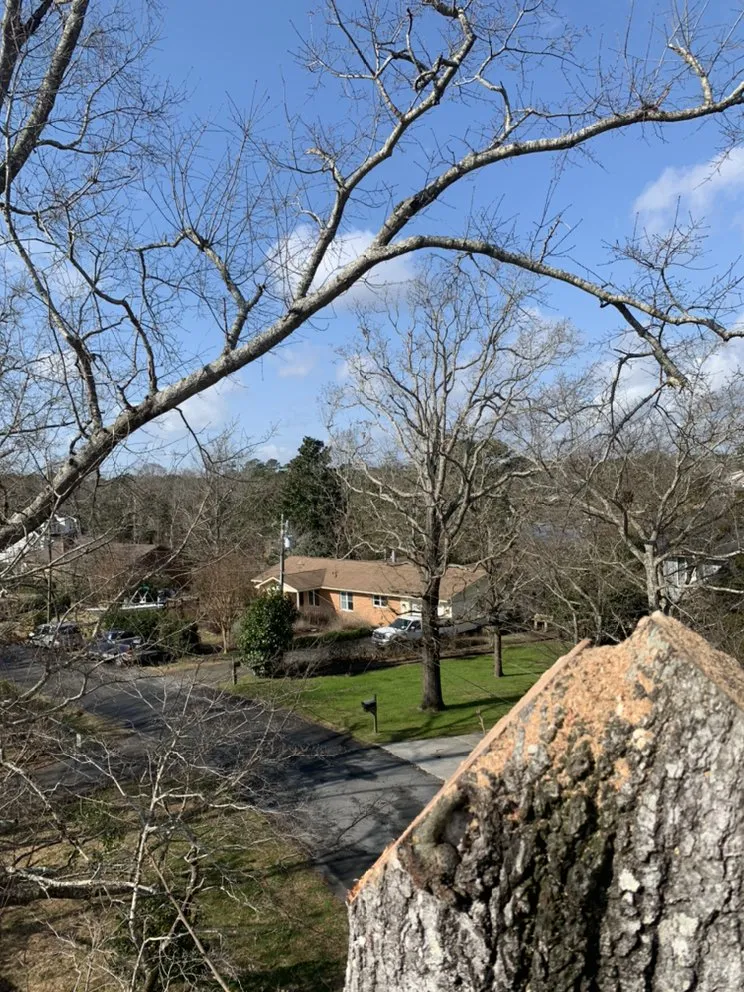 Trusted garden landscaping in Wilmington, NC by Carolina Pressure Washing & Outdoor Services