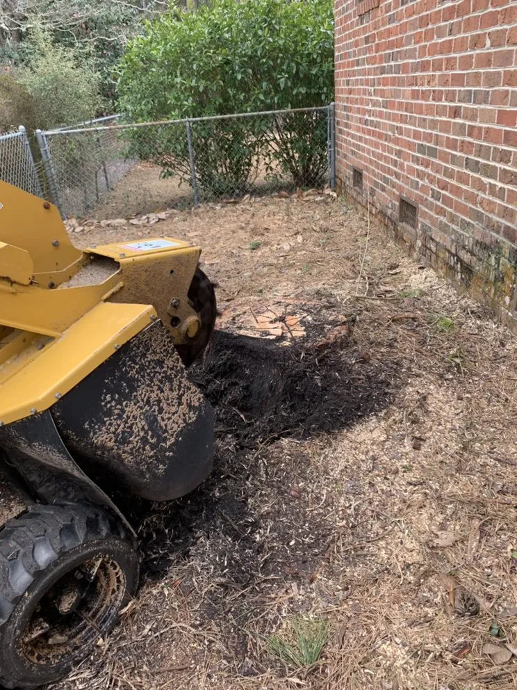 Top-rated garden landscaping in Wilmington, NC by Carolina Pressure Washing & Outdoor Services