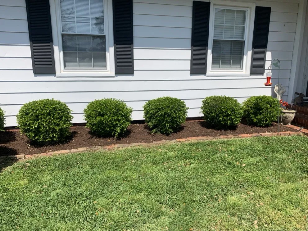 Reliable lawn mowing service for beautiful yards in Wilmington, NC by Carolina Pressure Washing & Outdoor Services