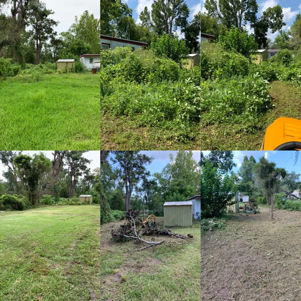 Reliable outdoor landscaping in Wilmington, NC by Carolina Pressure Washing & Outdoor Services