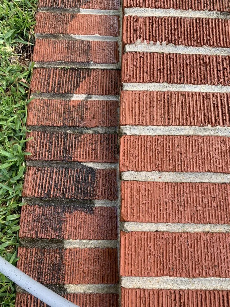 Top-rated landscape installation experts serving Wilmington, NC - Carolina Pressure Washing & Outdoor Services