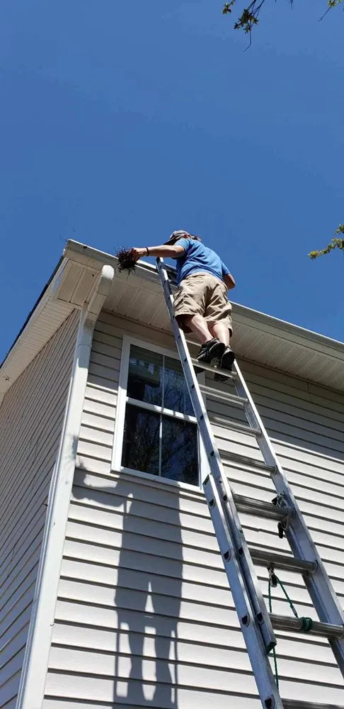 Affordable garden landscaping in Wilmington, NC by Carolina Pressure Washing & Outdoor Services