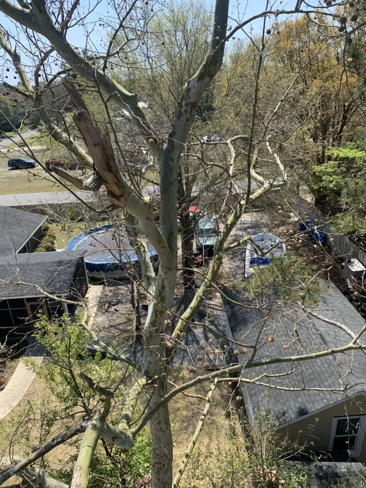 Trusted yard maintenance for residential properties across Wilmington, NC - Carolina Pressure Washing & Outdoor Services