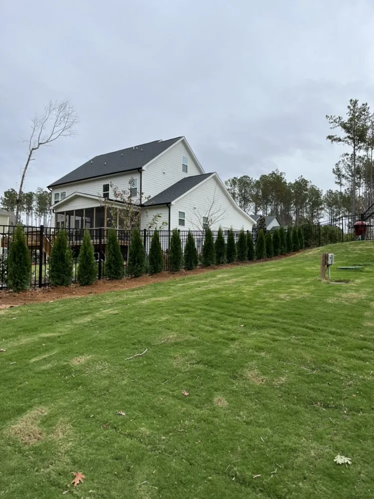Expert landscaping services experts serving Bear Creek, NC - Carolina Privacy Trees