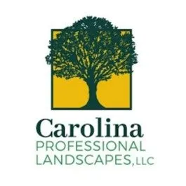 Expert lawn care service with custom design across Raleigh, NC - Carolina Professional Landscapes