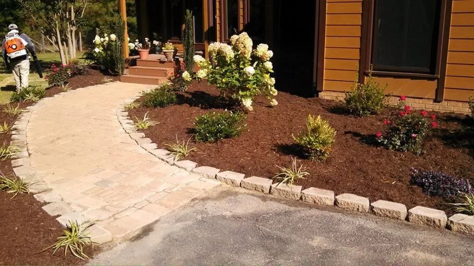 Top-rated yard cleanup service experts serving Raleigh, NC - Carolina Professional Landscapes