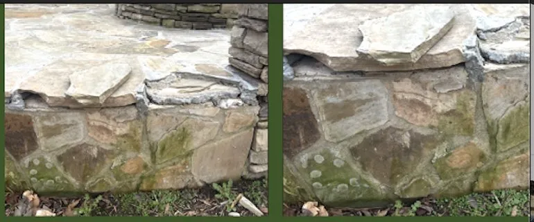 Reliable landscape design for year-round maintenance across Raleigh, NC - Carolina Professional Landscapes