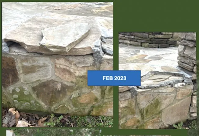 Expert yard cleanup service in Raleigh, NC by Carolina Professional Landscapes