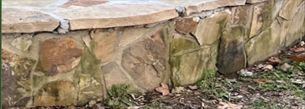 Expert yard maintenance experts serving Raleigh, NC - Carolina Professional Landscapes