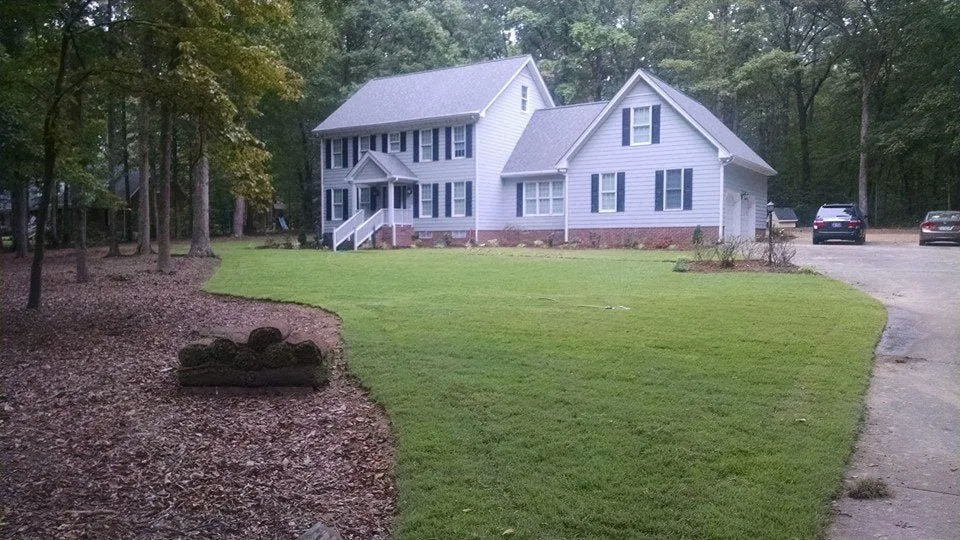 Top-rated yard cleanup service experts serving Raleigh, NC - Carolina Professional Landscapes