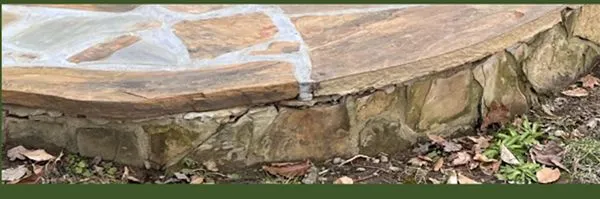 Carolina Professional Landscapes Logo