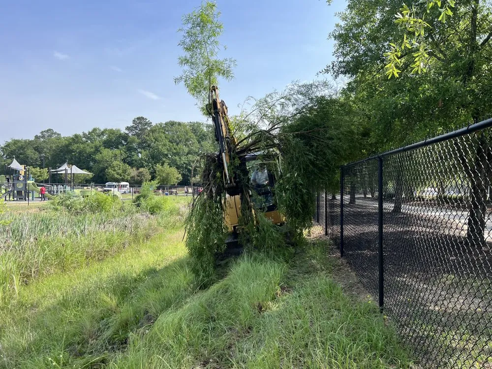 Expert lawn care service in Columbia, SC by Carolina Proturf