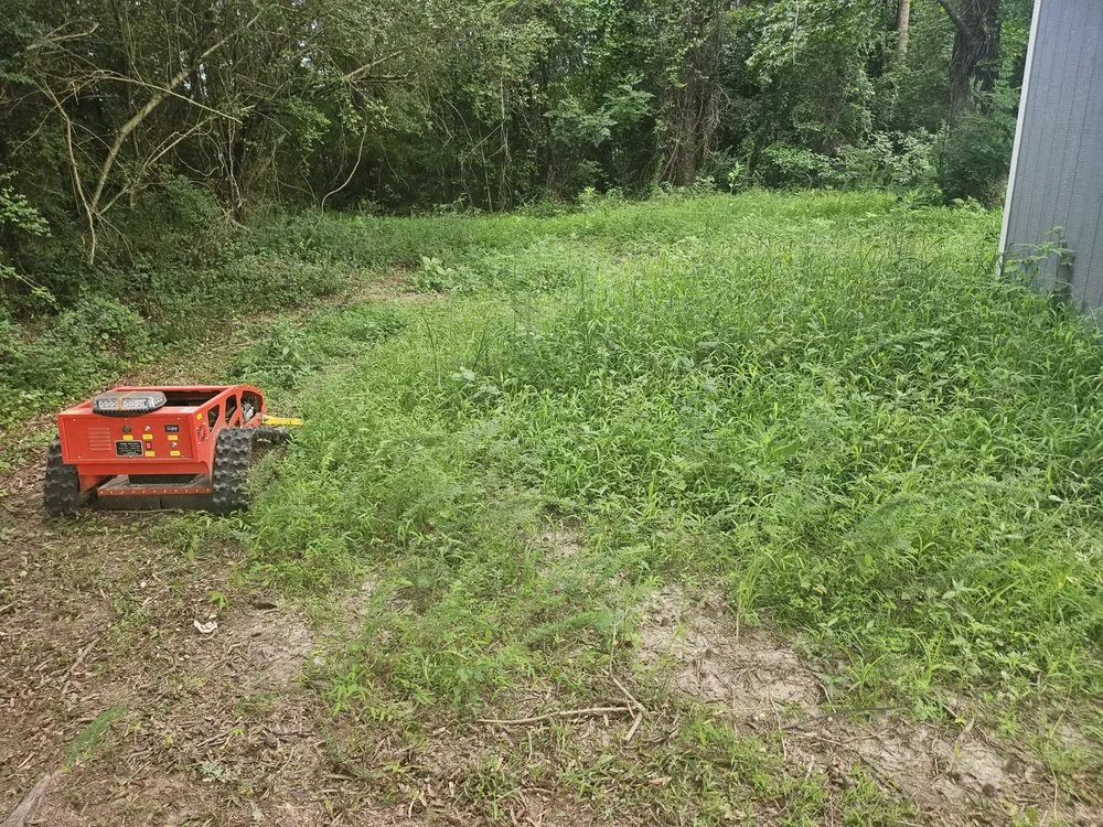 Top-rated yard cleanup service experts serving Wilson, NC - Carolina ServiceZ