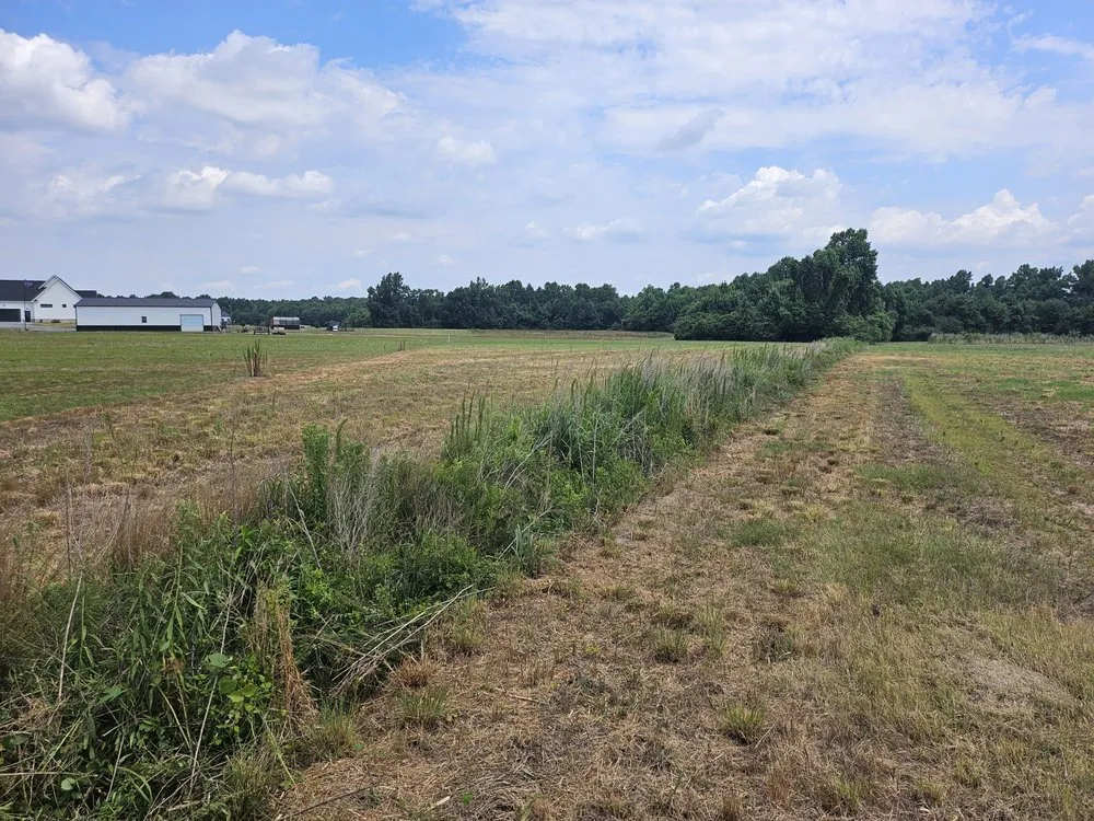 Reliable garden landscaping in Wilson, NC by Carolina ServiceZ