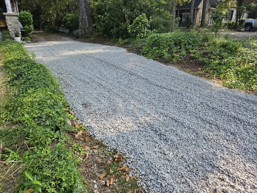 Trusted yard cleanup service in Wilson, NC by Carolina ServiceZ