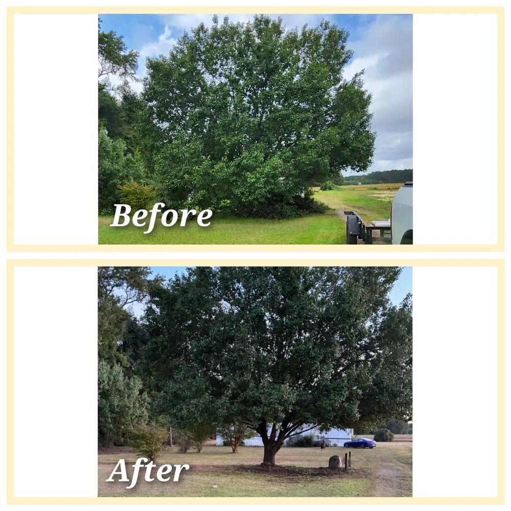 Custom lawn care service in Wilson, NC by Carolina ServiceZ