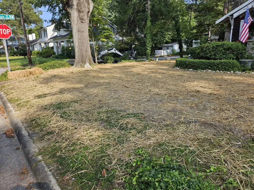 Trusted residential landscaping with custom design in Wilson, NC by Carolina ServiceZ