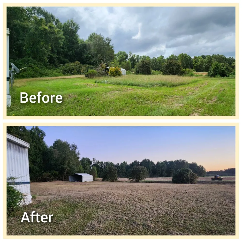 Affordable lawn mowing service for homes in Wilson, NC by Carolina ServiceZ