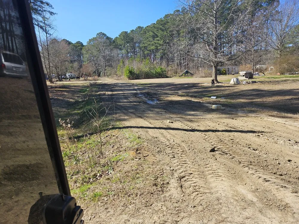 Affordable yard cleanup service in Wilson, NC by Carolina ServiceZ