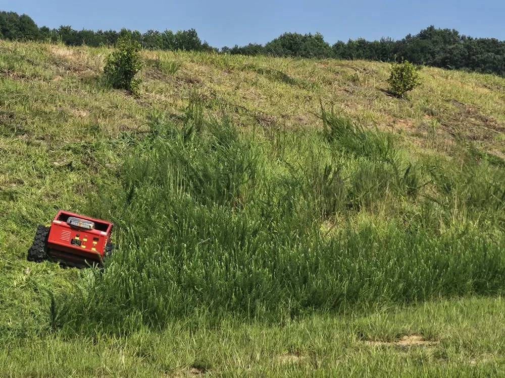 Trusted landscape design in Wilson, NC by Carolina ServiceZ