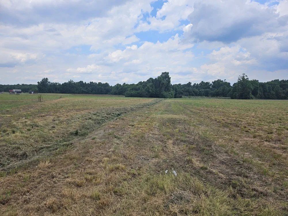 Professional residential landscaping for residential properties in Wilson, NC by Carolina ServiceZ