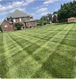 Professional lawn care service in Monroe, NC - Carolina Southern Scapes
