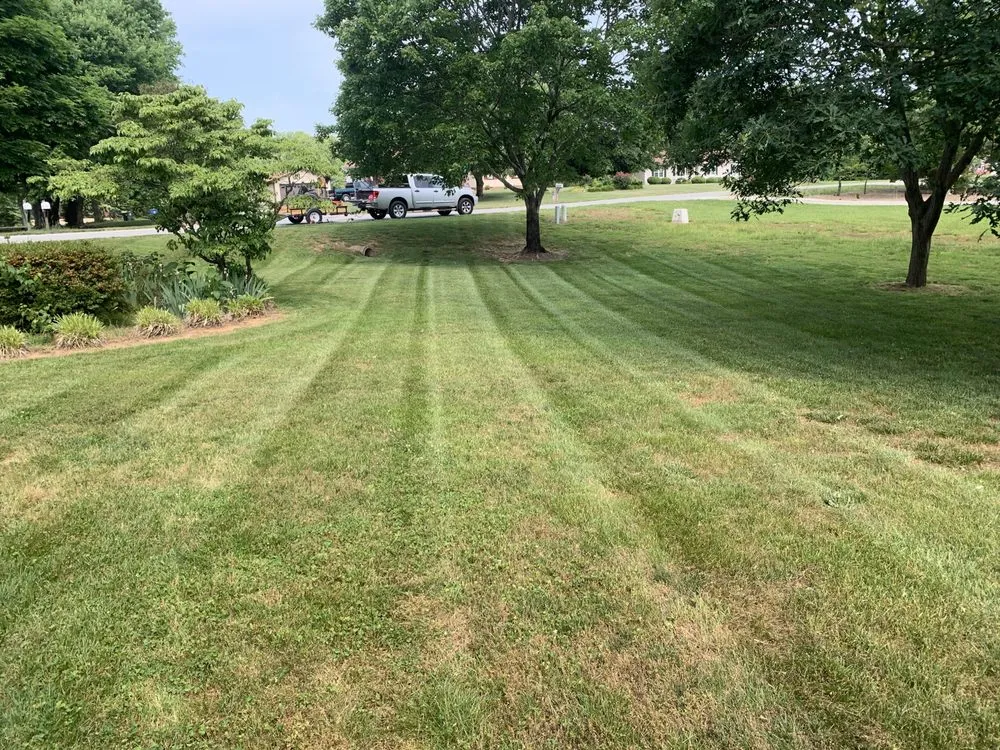 Professional lawn care service with custom design across Belews Creek, NC - Carolina Sun Lawn-care and Junk Removal
