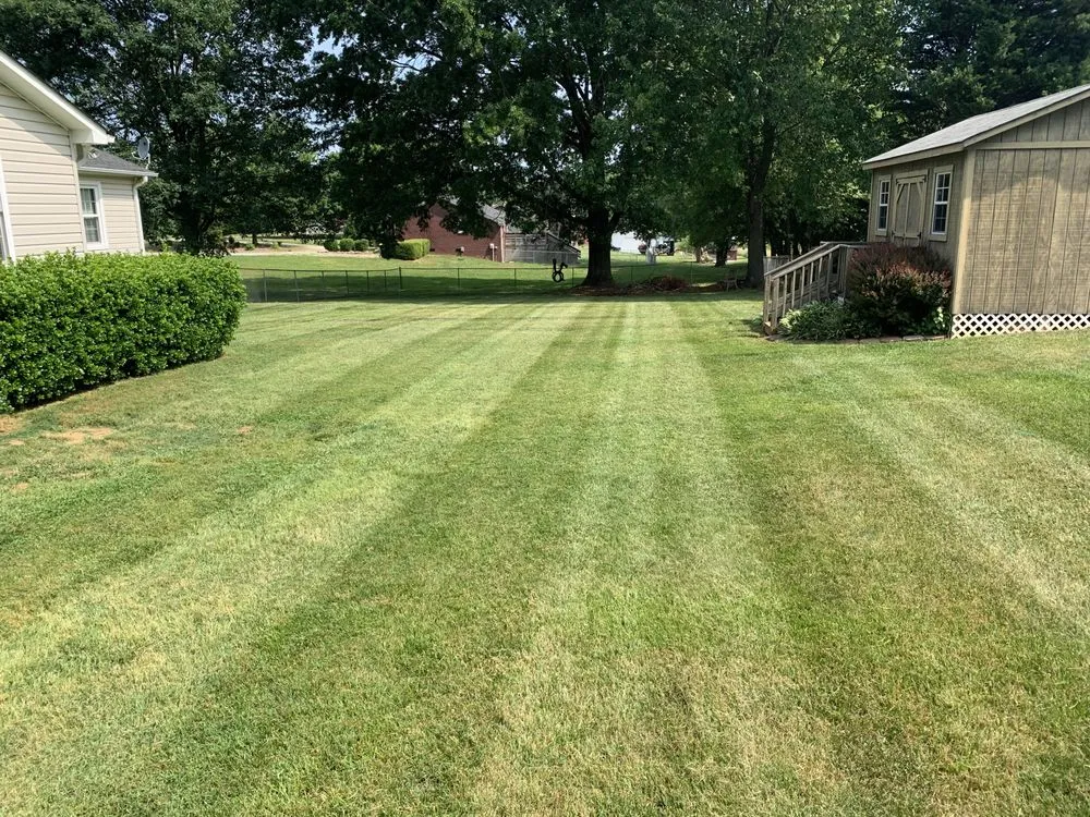 Reliable outdoor landscaping in Belews Creek, NC - Carolina Sun Lawn-care and Junk Removal