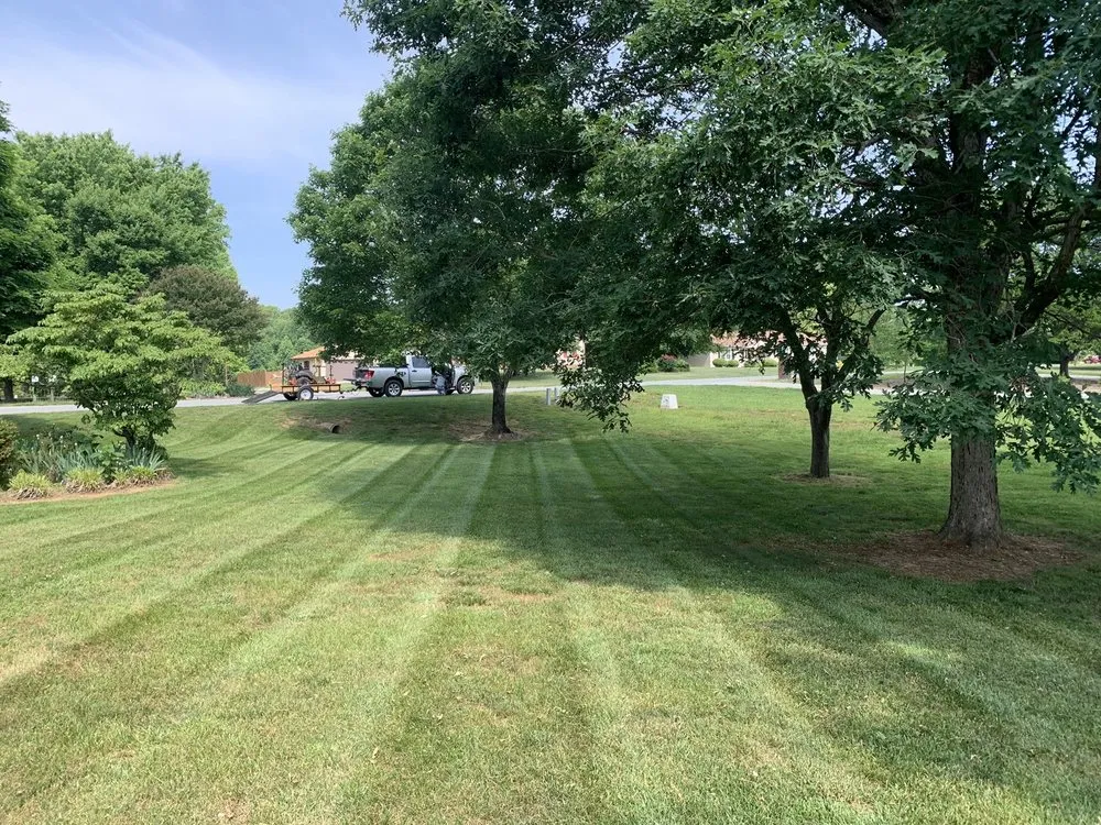 Trusted residential landscaping with custom design across Belews Creek, NC - Carolina Sun Lawn Care