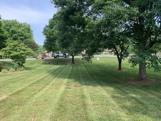 Carolina Sun Lawn Care
