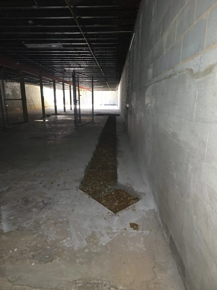 Trusted lawn care service in Norwood, NC - Carolina Superior Landscapes