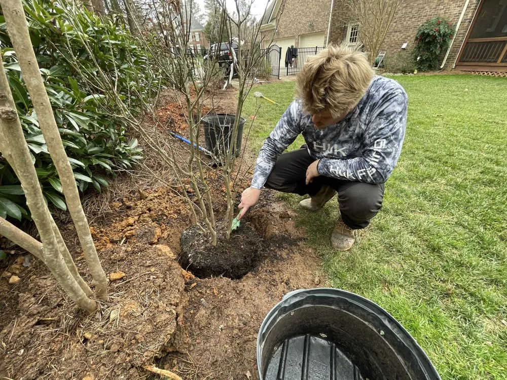 Custom residential landscaping for homes in Waxhaw, NC by Carolina Terrain