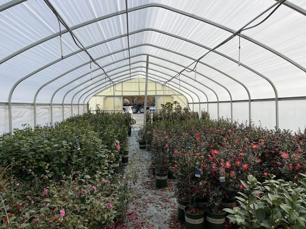 Top-rated landscape installation experts serving Waxhaw, NC - Carolina Terrain