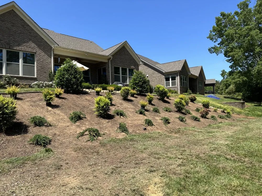 Affordable landscaping services in Waxhaw, NC - Carolina Terrain