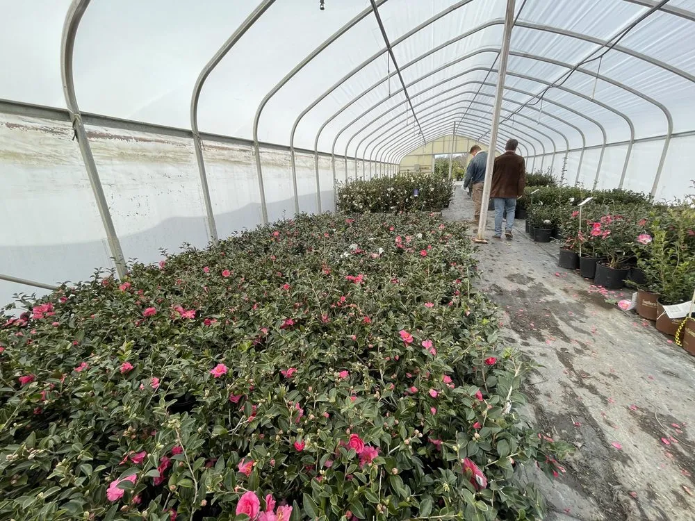 Expert landscape installation in Waxhaw, NC - Carolina Terrain