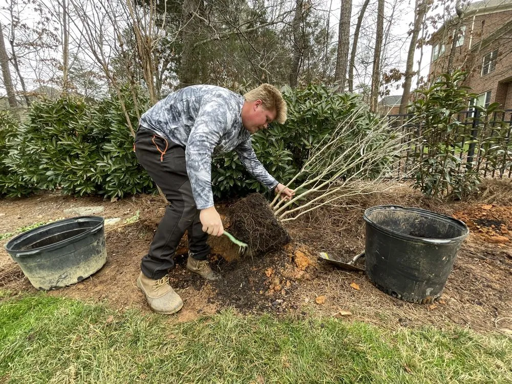 Expert landscape installation in Waxhaw, NC - Carolina Terrain