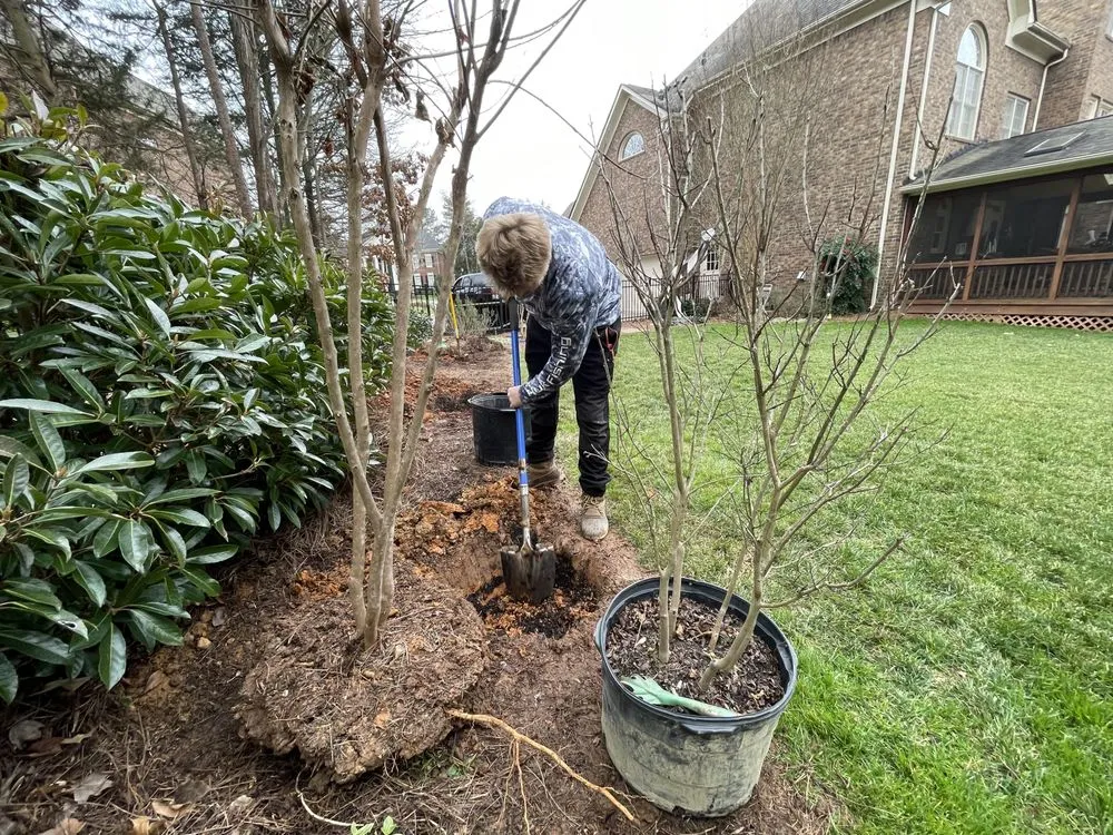 Affordable outdoor landscaping for homes across Waxhaw, NC - Carolina Terrain