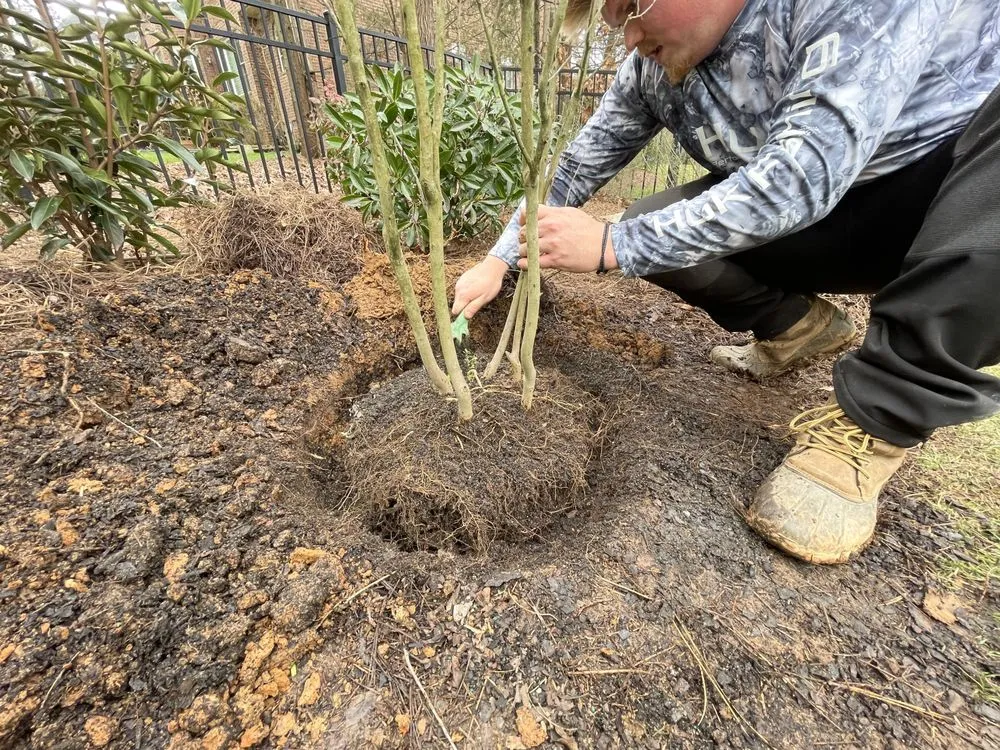 Reliable landscape installation experts serving Waxhaw, NC - Carolina Terrain