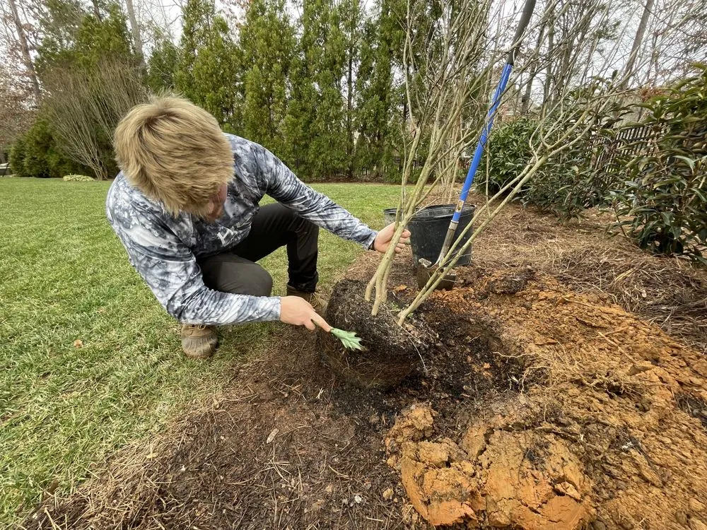 Expert landscape design in Waxhaw, NC - Carolina Terrain