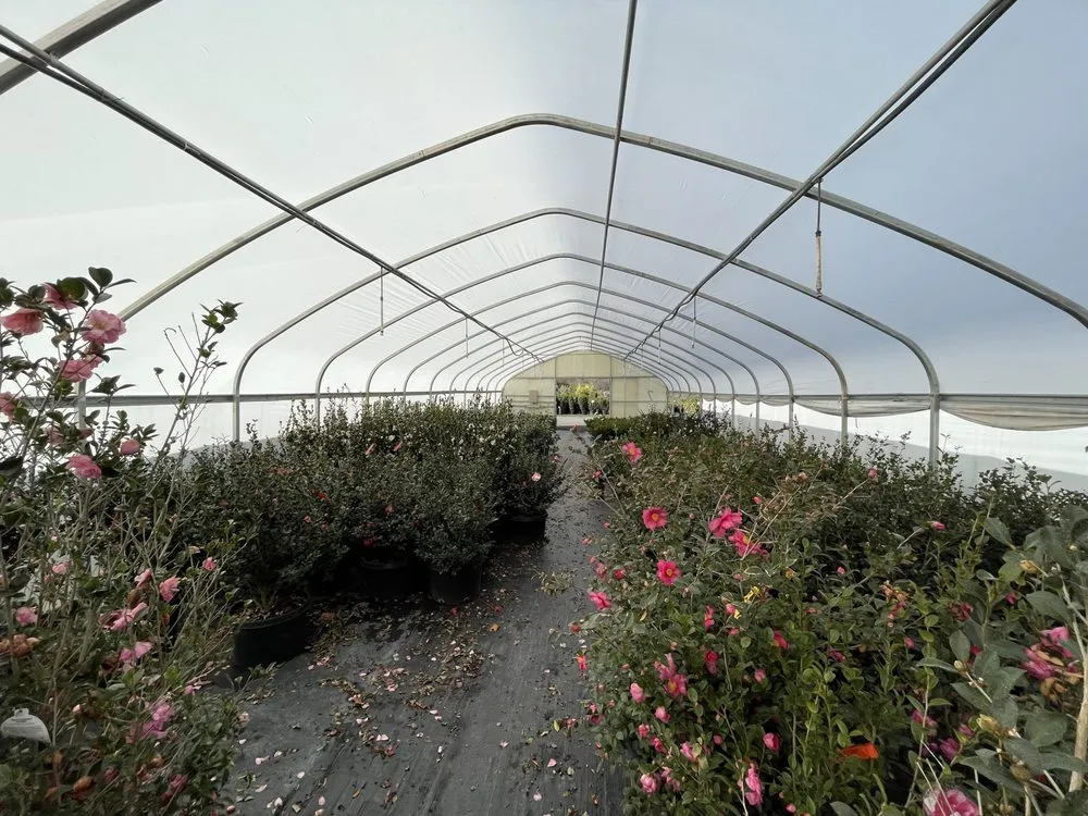 Expert outdoor landscaping experts serving Waxhaw, NC - Carolina Terrain