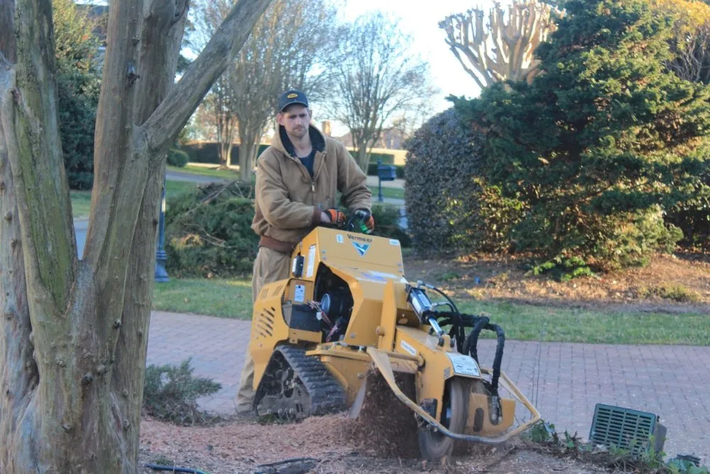 Affordable residential landscaping for residential properties in Charlotte, NC by Carolina Tree & Landscape