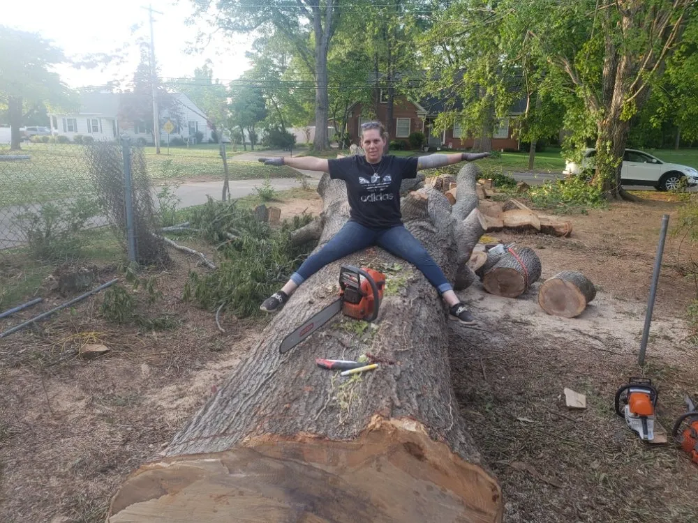 Expert yard cleanup service in Charlotte, NC by Carolina Tree & Landscape