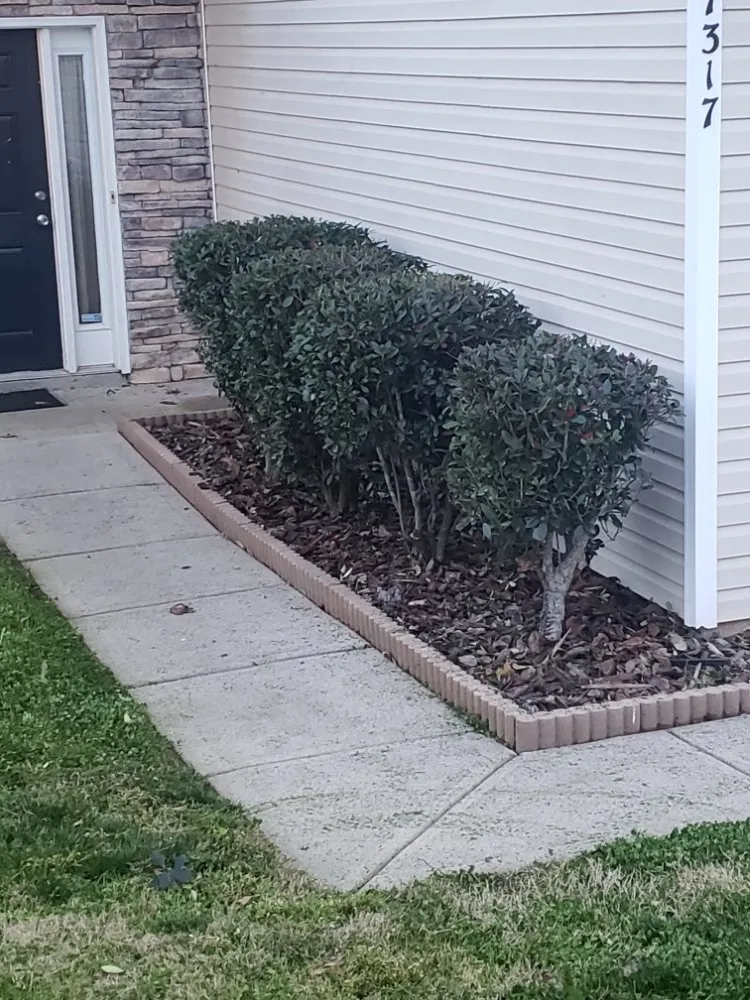 Custom landscaping services experts serving Charlotte, NC - Carolina Tree & Landscape