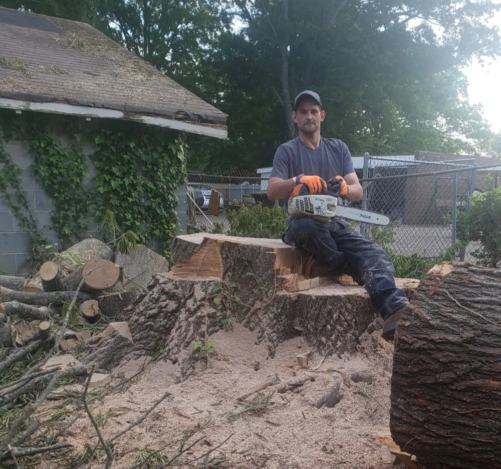 Trusted outdoor landscaping for residential properties in Charlotte, NC by Carolina Tree & Landscape