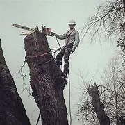 Top-rated outdoor landscaping experts serving Charlotte, NC - Carolina Tree And Landscape